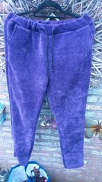 Dames broek, Paars, Maat 42/44 (L), Nieuw, Ophalen of Verzenden
