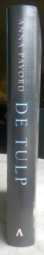 Pavord, Anne - De Tulp (2003), Boeken, Ophalen of Verzenden, 20e eeuw of later, Nieuw, Europa