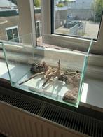 Aquarium 30x20x20 met indeling, Dieren en Toebehoren, Vissen | Aquaria en Toebehoren, Ophalen of Verzenden, Zo goed als nieuw