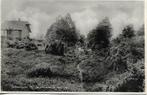 Ootmarsum- -Bij de bronnen te Hezinge., Verzenden, 1940 tot 1960, Gelopen, Overijssel