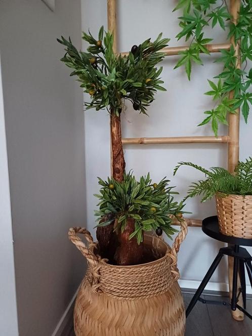 Prachtige kunst olijfboompje nieuw, Huis en Inrichting, Woonaccessoires | Kunstplanten en Kunstbloemen, Nieuw, Binnen, Buiten