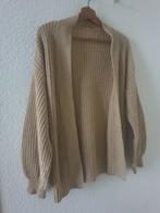 Beige Vest, Verzenden, Zo goed als nieuw, Maat 38/40 (M), Beige