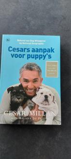 Cesars aanpak voor puppy's - Cesar Millan, Ophalen of Verzenden, Gelezen, Cesar Millan