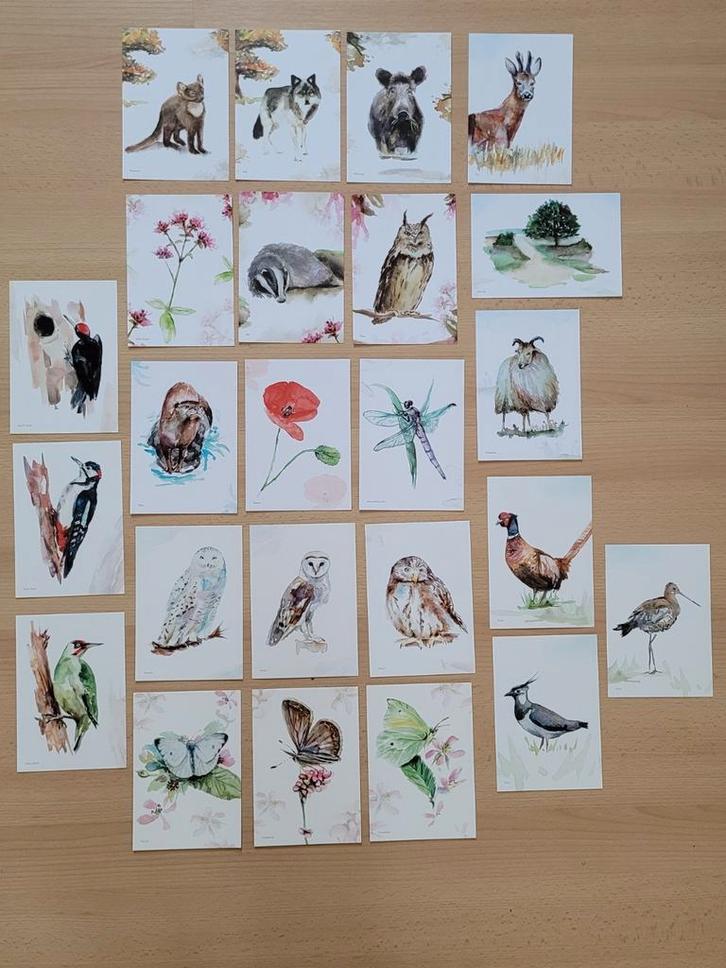 24x Ansicht kaart Michelle Dujardin natuur bloemen dieren, Verzamelen, Ansichtkaarten | Themakaarten, Ongelopen, 1980 tot heden