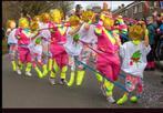 Carnavals loopgroep 6 personen, Ophalen of Verzenden, Zo goed als nieuw, Carnaval
