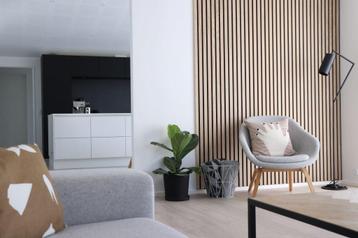 Akupanel  ACTIE: ‼️‼️van €79,99 NU voor slechts €39,99‼️‼️‼️ beschikbaar voor biedingen