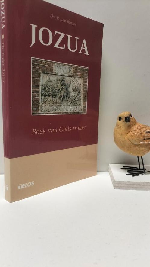 Butter, Ds. P. den; Jozua, Boeken, Godsdienst en Theologie, Gelezen, Christendom | Protestants, Ophalen of Verzenden