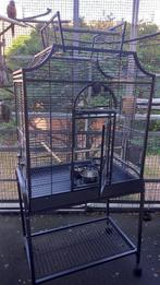 vogel kooi, Dieren en Toebehoren, Vogels | Hokken en Kooien, Ophalen, Zo goed als nieuw, Metaal, Vogelkooi