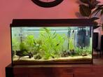 Juwel primio 110, Dieren en Toebehoren, Vissen | Aquaria en Toebehoren, Ophalen of Verzenden, Zo goed als nieuw, Leeg aquarium