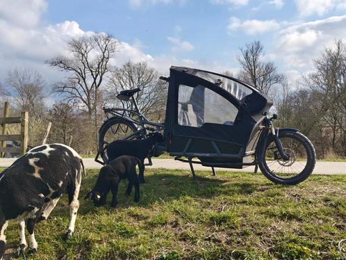 Riese Muller Load 75 GT Rohloff, Fietsen en Brommers, Fietsen | Bakfietsen, Zo goed als nieuw, Overige merken, Huif, Ophalen