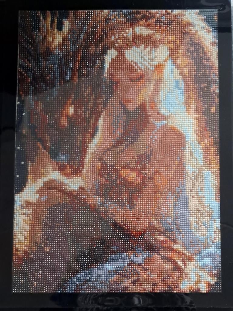 Diamond Painting Dame, Ophalen of Verzenden, Zo goed als nieuw, Schilderen op nummer