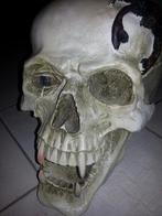 Helloween Super size Skull (schedel) with Scorpion (resin), Ophalen, Zo goed als nieuw, Versiering, Halloween of Griezel