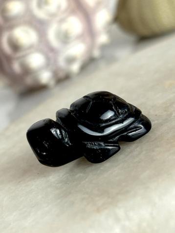 Obsidiaan schildpad beschikbaar voor biedingen