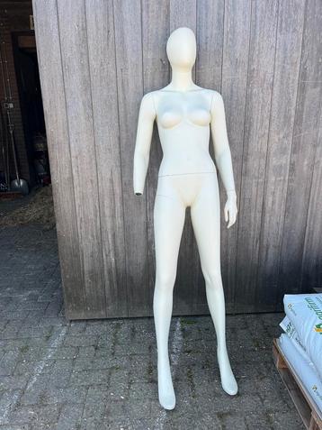 Paspop te koop beschikbaar voor biedingen