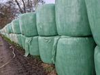 Ronde balen kuilvoer te koop, Dieren en Toebehoren, Ophalen of Verzenden, Vee