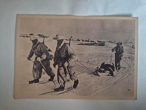 Persfoto SS-ski-eenheid evacueert gewonde soldaat, Verzamelen, Militaria | Tweede Wereldoorlog, Landmacht, Foto of Poster, Duitsland