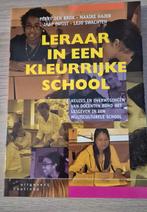 Leraar in een Kleurrijke School - Perry den Brok, Gelezen, Perry den Brok, Alpha, HBO