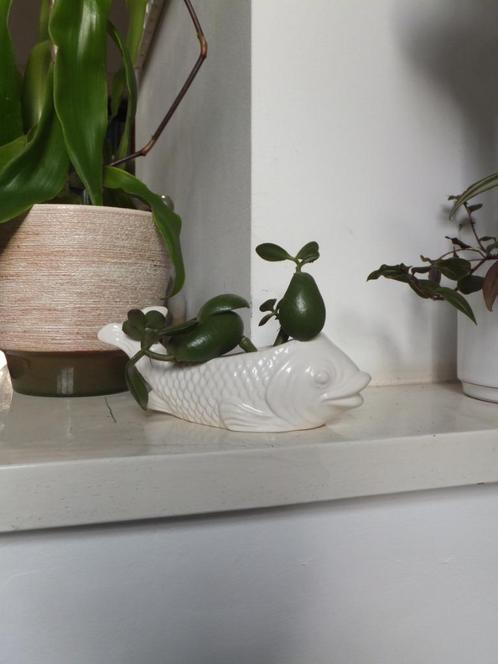 grappig vintage beeldje, bloempotje vis karper jema holland, Antiek en Kunst, Curiosa en Brocante, Ophalen