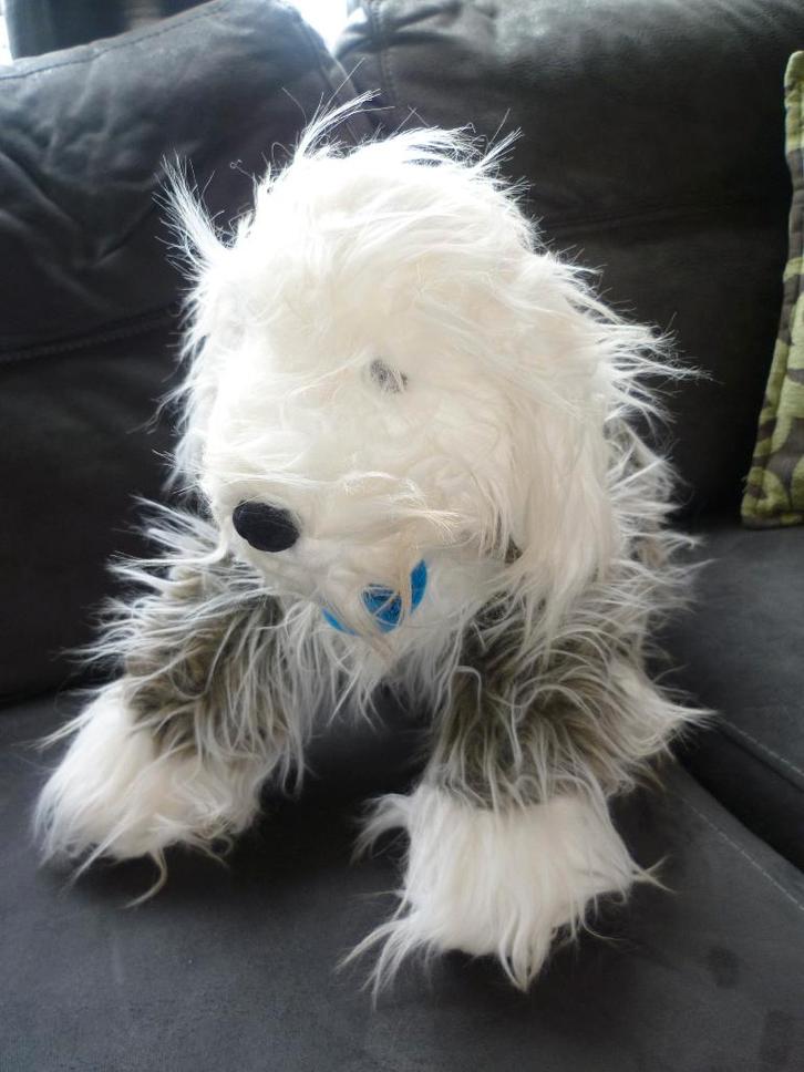 Langharig sier hondje uit New Zealand, Kinderen en Baby's, Speelgoed | Knuffels en Pluche, Zo goed als nieuw, Hond, Ophalen