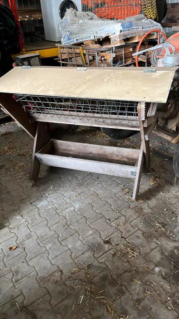 Hooi ruif schapen geiten pony’s beschikbaar voor biedingen