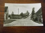 P31 - Barsingerhorn - Landweg - Mooi/Oud, Verzamelen, Verzenden