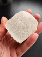 Koraal jaspis coral jasper plak slab edelstenen fossielen, Verzamelen, Mineralen en Fossielen, Ophalen of Verzenden, Fossiel