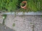 Planken om op te branden, Tuin en Terras, Haardhout, Ophalen