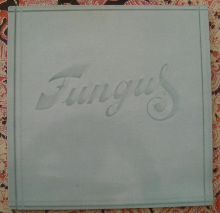 Fungus - Fungus (LP) Kaap'ren Varen, Cd's en Dvd's, Vinyl | Nederlandstalig, Gebruikt, Rock, 12 inch, Ophalen of Verzenden