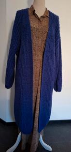 MSCH Copenhagen grof gebreid blauw vest M/L, Ophalen of Verzenden, Zo goed als nieuw, Maat 38/40 (M), Blauw