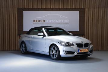 BMW 2-Serie 2.0 228IA 180KW Cabrio Aut8 2016 Grijs beschikbaar voor biedingen
