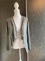 Vest dakes maat M met glitter ster, Ophalen of Verzenden, Zo goed als nieuw, Maat 38/40 (M), Grijs