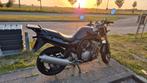 Suzuki Bandit GSF600 - Klusmotor met potentie, Particulier, Toermotor