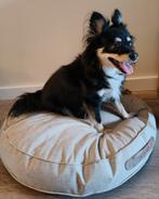 Lief teefje 7 jr. Zoekt gouden mandje!, Dieren en Toebehoren, Honden | Niet-rashonden, 6 jaar of ouder, Rabiës (hondsdolheid)