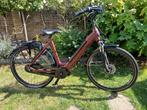 E-bike merk Forza, Fietsen en Brommers, Elektrische fietsen, Zo goed als nieuw, 51 tot 55 cm, 50 km per accu of meer, Ophalen