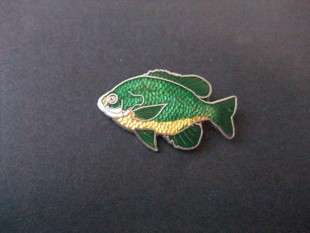 Zonnebaars zoetwatervis, groen emaille pin, Ophalen of Verzenden, Gebruikt, Overige onderwerpen
