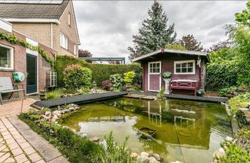 Complete vijver incl. vissen, systemen en accessoires beschikbaar voor biedingen