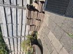 Gratis tuintegels.  Ongeveer 45 m2, Tuin en Terras, Tuinhekken en Hekwerk, Ophalen, Gebruikt, Overige materialen