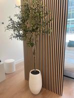 Kunst olijfboom met pot, Ophalen, Zo goed als nieuw
