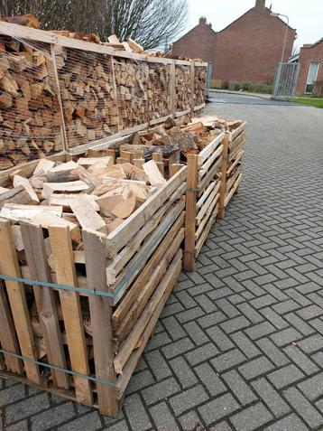 ACTIE  1 kuub droog eiken (€135)  beuken essen 25cm beschikbaar voor biedingen