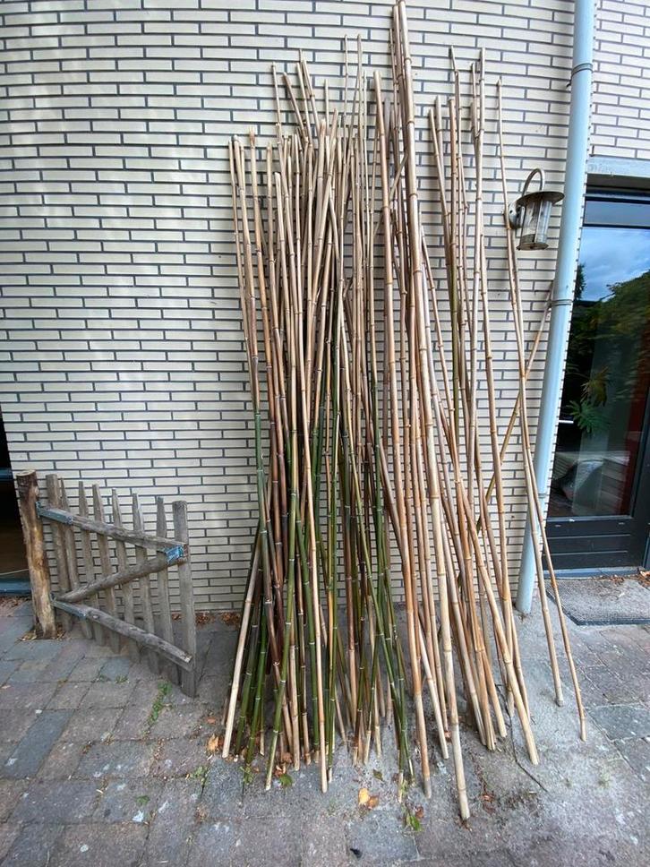 Bamboe bamboo stokken tonkin bamboestokken 15-30mm 3 meter, Tuin en Terras, Kweekspullen, Zo goed als nieuw, Ophalen of Verzenden