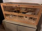 Hamsterkooi, toebehoren en hamster, Dieren en Toebehoren, Knaagdieren, Hamster, Mannelijk, Juli, Tam