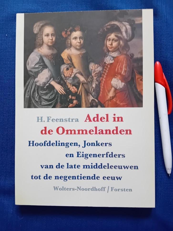 Adel in de Ommelanden. H. Feenstra, Boeken, Geschiedenis | Vaderland, Gelezen, Ophalen of Verzenden
