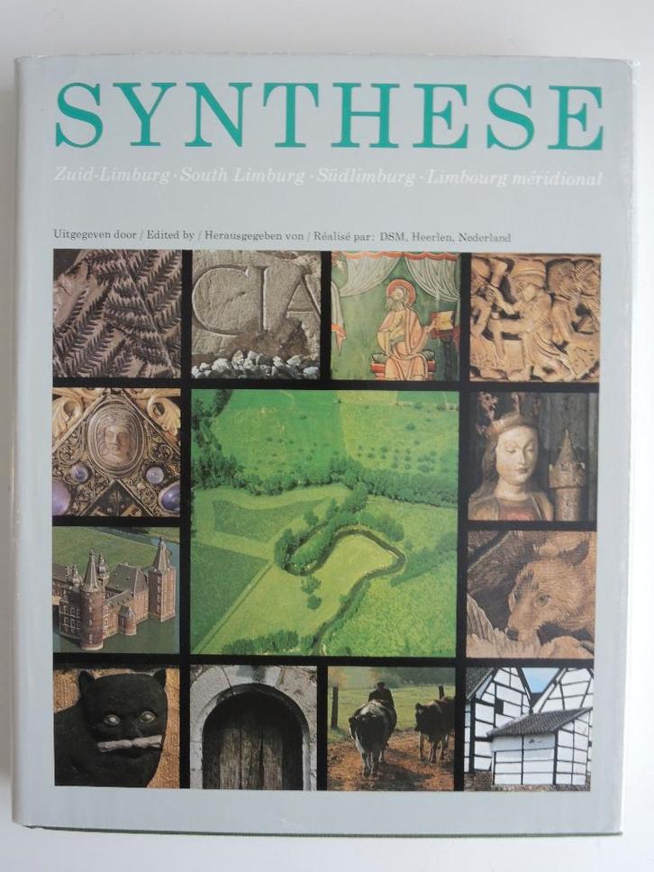 ZUID-LIMBURG: boek SYNTHESE, cultuur en natuur, Boeken, Geschiedenis | Stad en Regio, Zo goed als nieuw, Ophalen of Verzenden