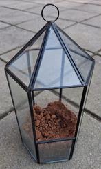 Glazen plantenhanger terrarium, Overige materialen, Rond, Ophalen of Verzenden, Minder dan 40 cm