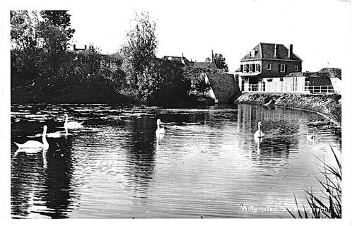 916091	Willemstad	N Br jr 50	Zwanengracht	 Gelopen met postz, Verzamelen, Ansichtkaarten | Nederland, Gelopen, Noord-Brabant, 1940 tot 1960