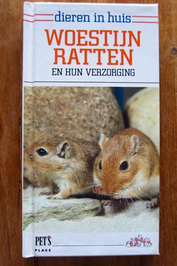 woestijn ratten en hun verzorging beschikbaar voor biedingen