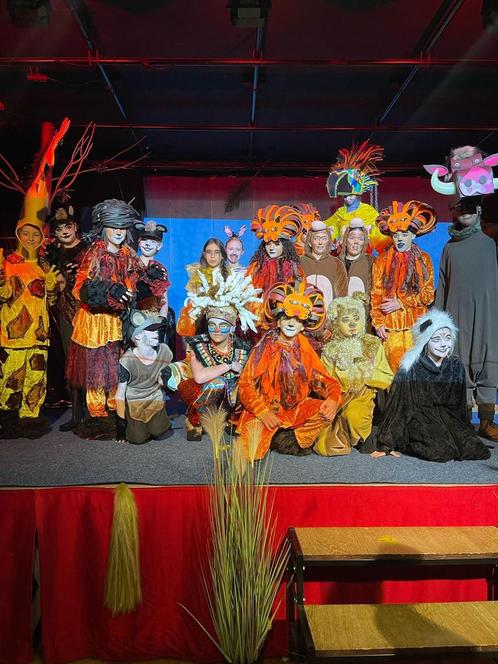 Lion king kostuums, Kinderen en Baby's, Carnavalskleding en Verkleedspullen, Jongen of Meisje, Ophalen