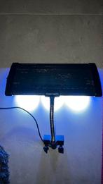 Zee aquarium lamp, Dieren en Toebehoren, Vissen | Aquaria en Toebehoren, Ophalen, Gebruikt, Verlichting of Verwarming