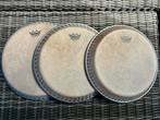 Remo Skyndeep conga vellen voor o.a. Latin Percussion Galaxy, Ophalen, Zo goed als nieuw, Trommel