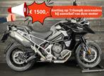 Triumph TIGER 1200 GT EXPLORER (bj 2025), Motoren, Motoren | Triumph, 1160 cc, Bedrijf, Meer dan 35 kW, Toermotor
